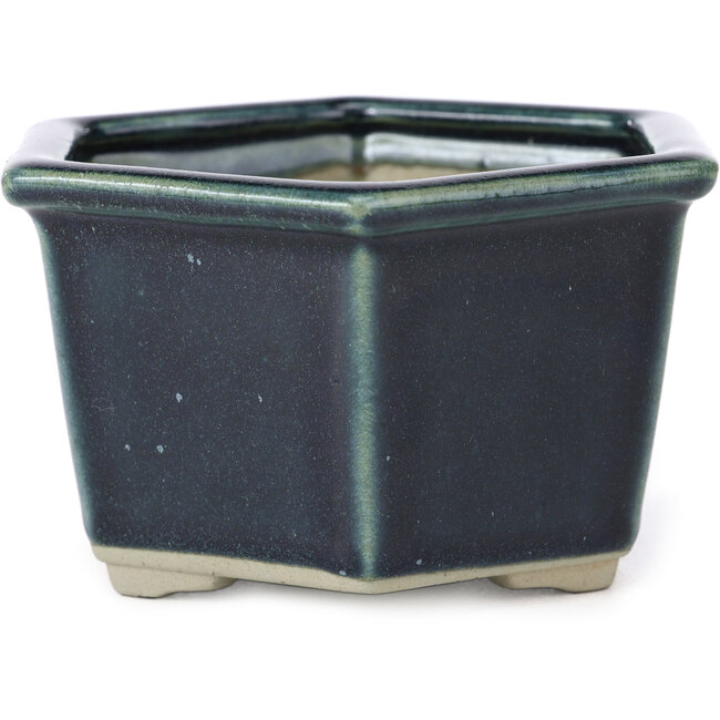 Vaso per bonsai blu esagonale di Tosui - 125 x 106 x 68 mm