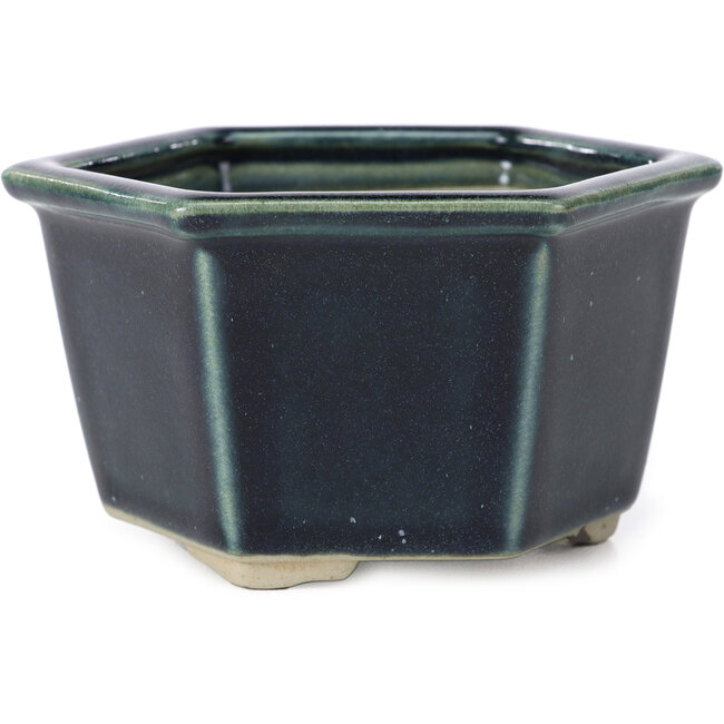 Vaso per bonsai blu esagonale di Tosui - 125 x 106 x 68 mm