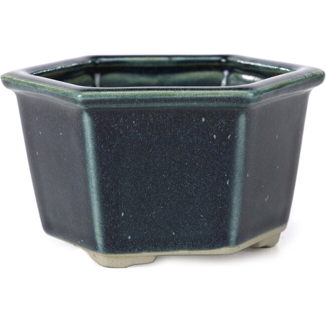 Maceta de bonsái azul hexagonal de Tosui - 125 x 106 x 68 mm