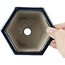 Pot à bonsaï hexagonal bleu par Tosui - 125 x 106 x 68 mm