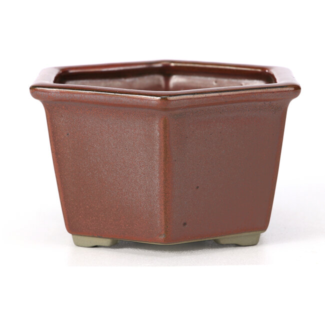 Sechseckige rote Bonsaischale von Tosui - 125 x 106 x 68 mm