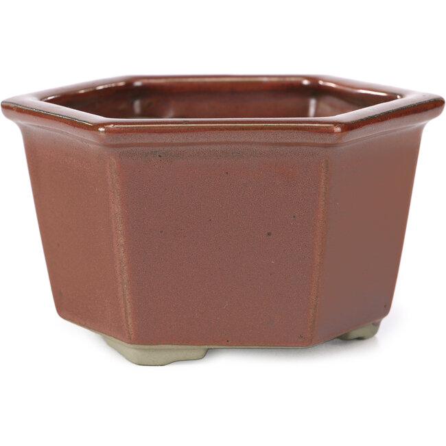 Sechseckige rote Bonsaischale von Tosui - 125 x 106 x 68 mm