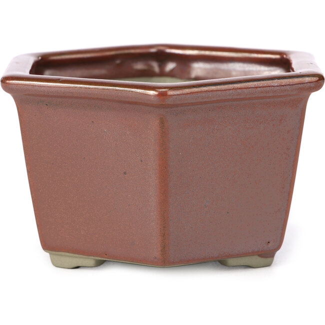Hexagonal red bonsai pot by Tosui - 125 x 106 x 68 mm