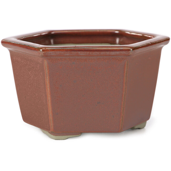 Maceta de bonsái hexagonal roja de Tosui - 125 x 106 x 68 mm