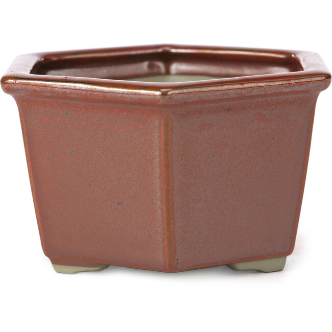 Zeshoekige rode bonsaipot van Tosui - 125 x 106 x 68 mm