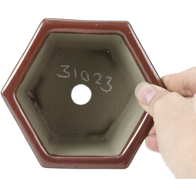 Maceta de bonsái hexagonal roja de Tosui - 125 x 106 x 68 mm
