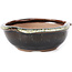 Vaso bonsai rotondo marrone nero con macchie bianche di Koishiwara - 127 x 123 x 44 mm