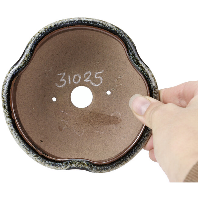 Pot à bonsaï rond brun noir à pois blancs par Koishiwara - 127 x 123 x 44 mm