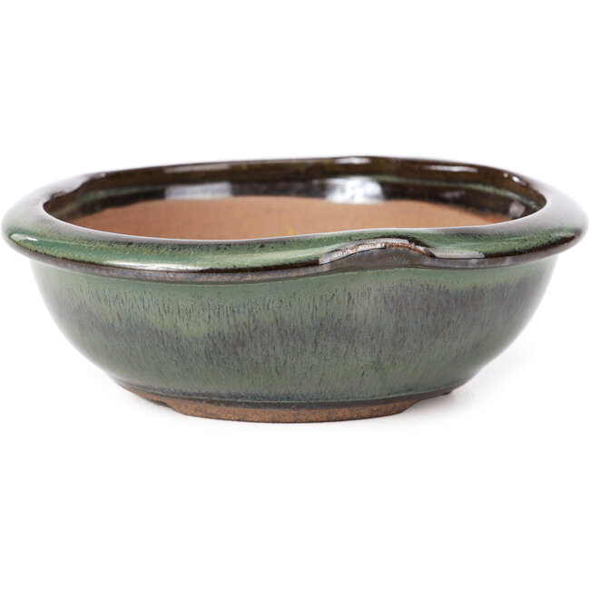 Ronde groene bonsai pot van Koishiwara - 127 x 123 x 44 mm