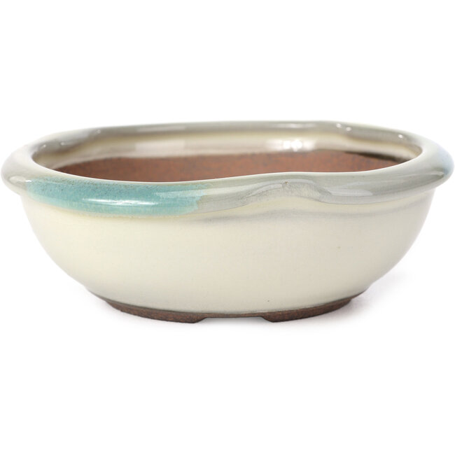 Maceta de bonsái redonda blanca con manchas azules de Koishiwara - 127 x 123 x 44 mm