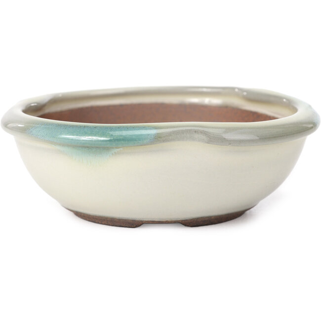 Maceta de bonsái redonda blanca con manchas azules de Koishiwara - 127 x 123 x 44 mm