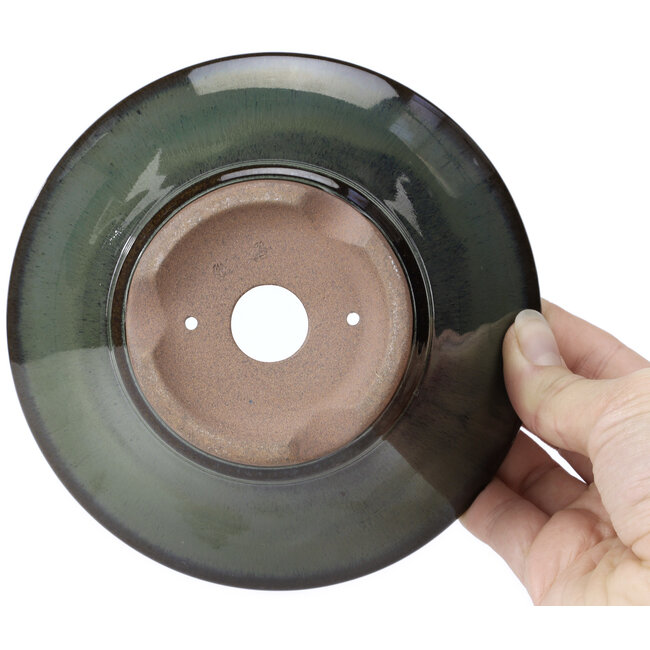 Maceta de bonsái verde redonda de Koishiwara - 152 x 152 x 62 mm