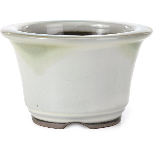 Pot à bonsaï rond blanc à pois bleus par Koishiwara - 118 x 118 x 78 mm