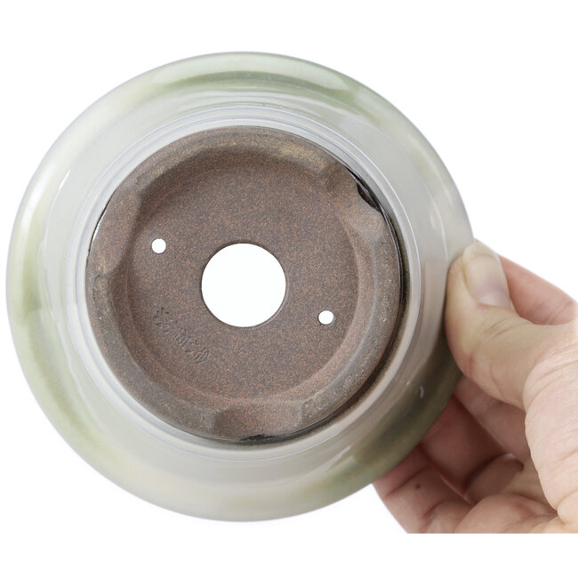 Maceta de bonsái redonda blanca con lunares azules de Koishiwara - 118 x 118 x 78 mm