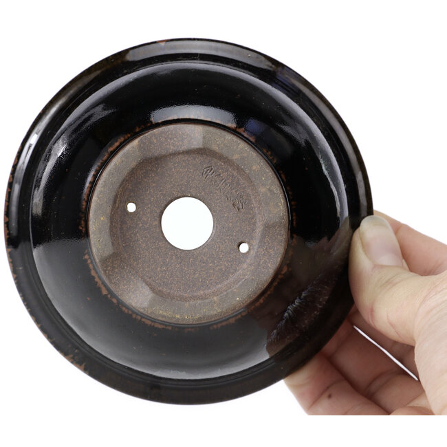 Maceta de bonsái redonda marrón negro con manchas blancas de Koishiwara - 112 x 112 x 56 mm