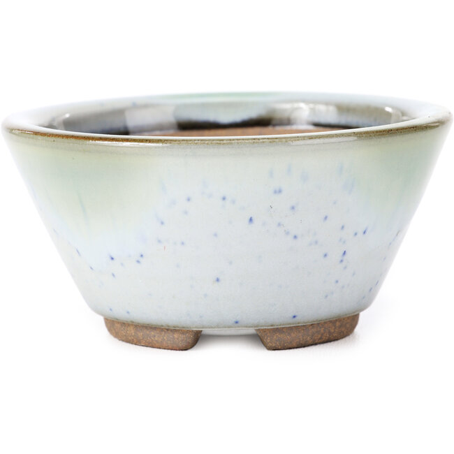 Maceta de bonsái redonda blanca con lunares azules de Koishiwara - 103 x 130 x 50 mm