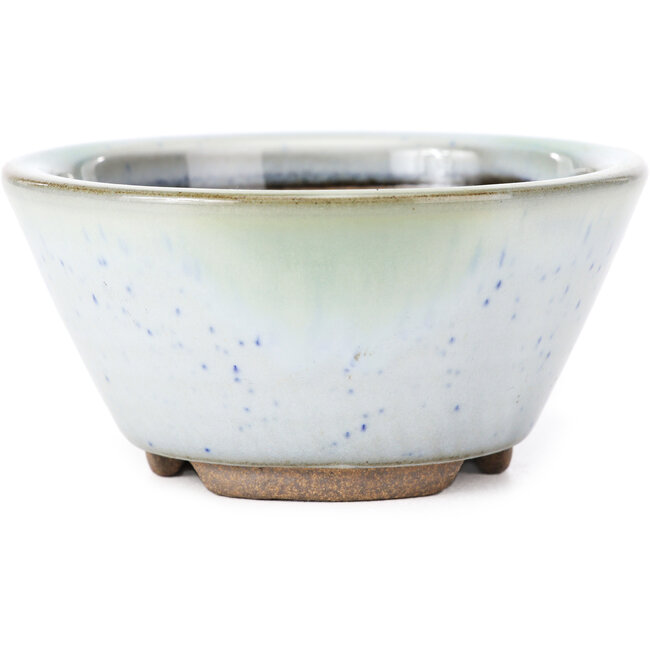 Maceta de bonsái redonda blanca con lunares azules de Koishiwara - 103 x 130 x 50 mm