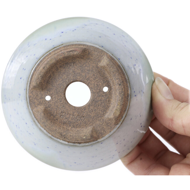 Maceta de bonsái redonda blanca con lunares azules de Koishiwara - 103 x 130 x 50 mm