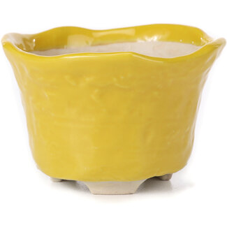  Other Japanese bonsai pot makers Vaso giallo rotondo da 80 mm dal Giappone