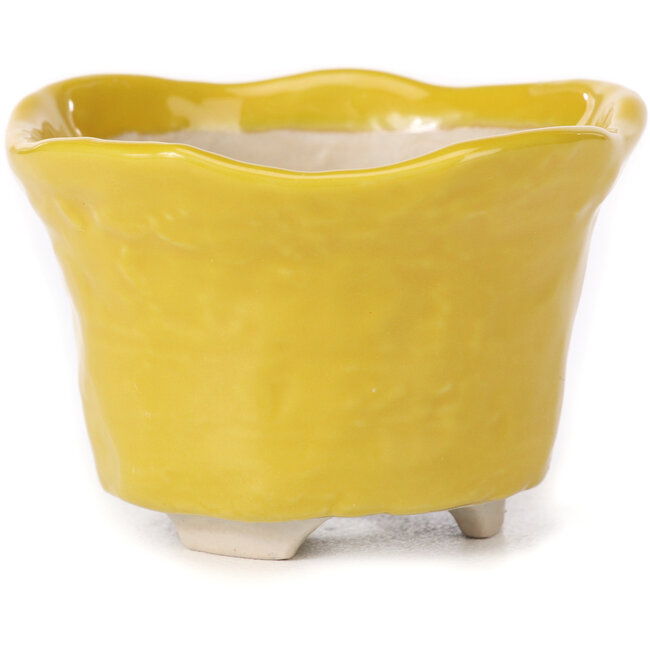Round yellow bonsai pot - 80 x 80 x 55 mm