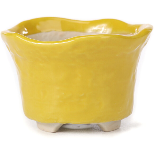 Vaso per bonsai rotondo giallo - 80 x 80 x 55 mm