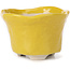 Vaso per bonsai rotondo giallo - 80 x 80 x 55 mm