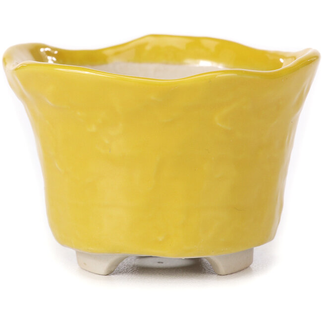 Ronde gele bonsaipot - 80 x 80 x 55 mm