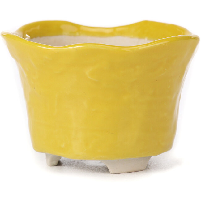 Maceta de bonsái amarilla redonda - 80 x 80 x 55 mm