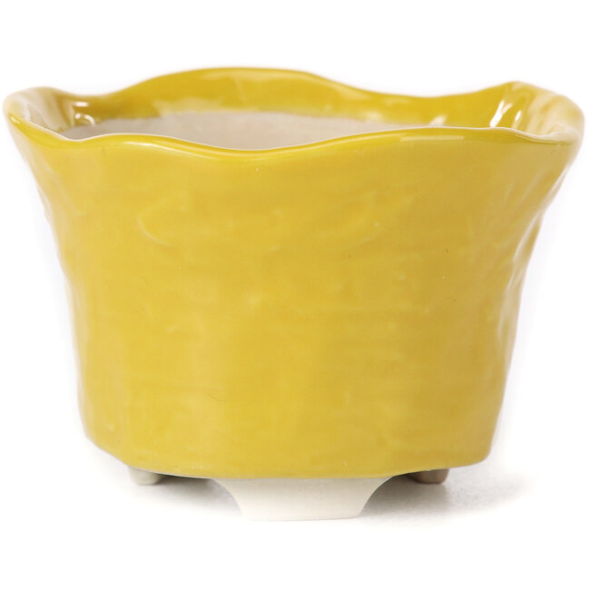 Round yellow bonsai pot - 80 x 80 x 55 mm