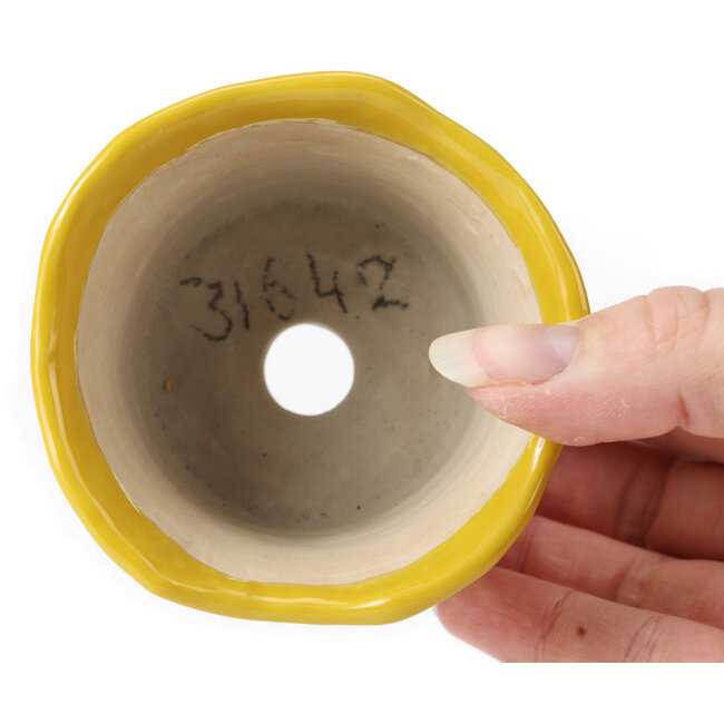 Pot à bonsaï rond jaune - 80 x 80 x 55 mm