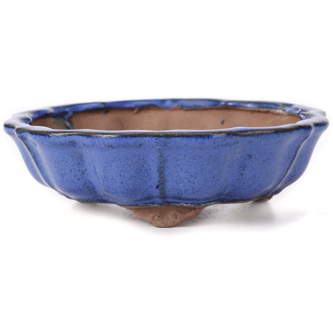 Octagonal lotus shape blue bonsai pot - 135 x 135 x 40 mm