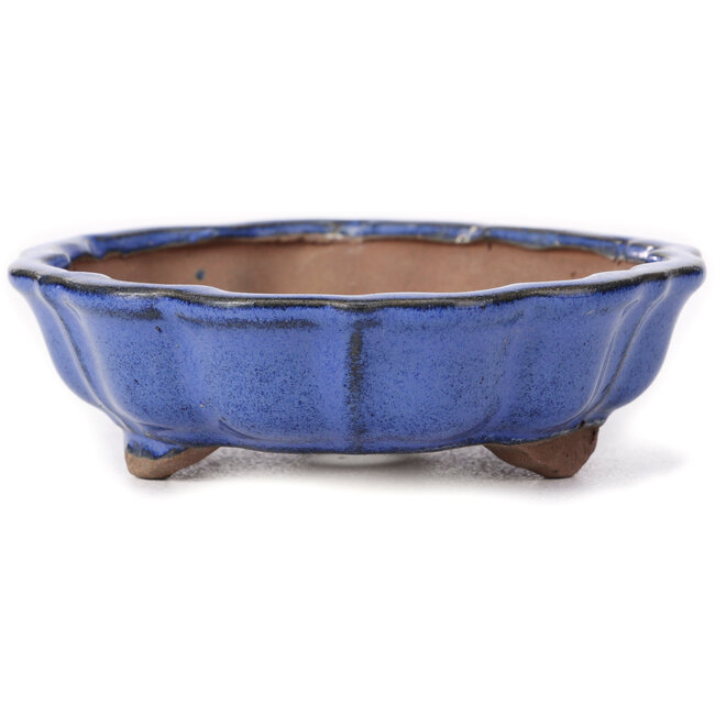 Achteckige blaue Bonsaischale in Lotusform - 135 x 135 x 40 mm