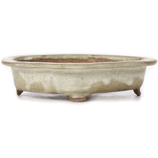  Other Tokoname bonsai pot makers 155 mm mokko beige pot from Tokoname, Japan