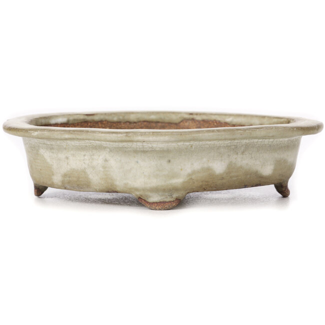 Maceta de bonsái Mokko beige - 155 x 120 x 35 mm