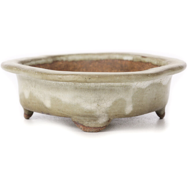 Pot à bonsaï Mokko beige - 155 x 120 x 35 mm