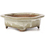 Maceta de bonsái Mokko beige - 155 x 120 x 35 mm