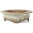 Mokko beige bonsai pot - 155 x 120 x 35 mm