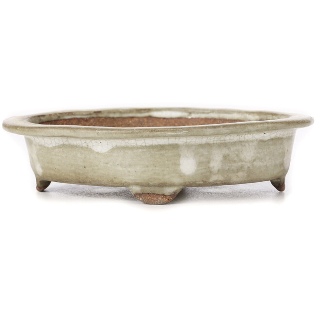 Pot à bonsaï Mokko beige - 155 x 120 x 35 mm