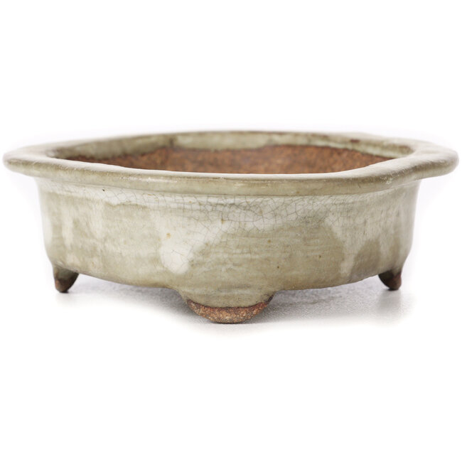 Maceta de bonsái Mokko beige - 155 x 120 x 35 mm