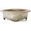 Maceta de bonsái Mokko beige - 155 x 120 x 35 mm