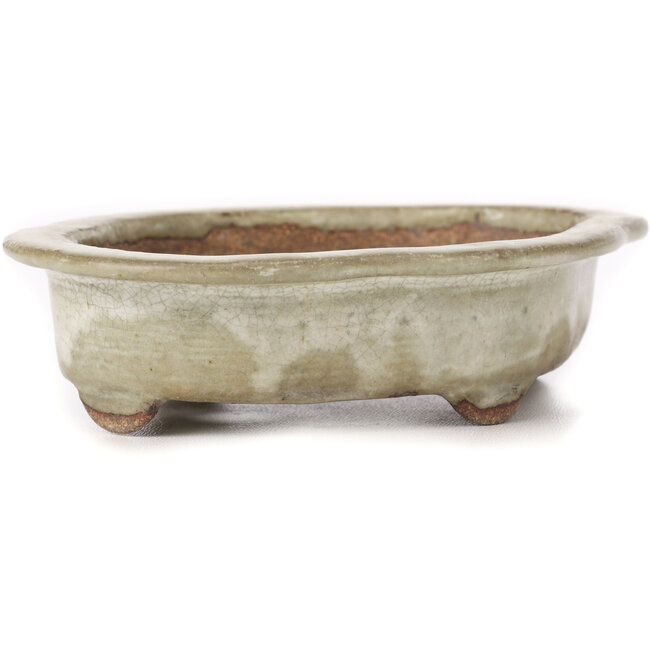 Maceta de bonsái Mokko beige - 155 x 120 x 35 mm