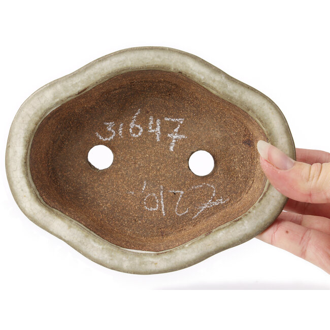 Maceta de bonsái Mokko beige - 155 x 120 x 35 mm