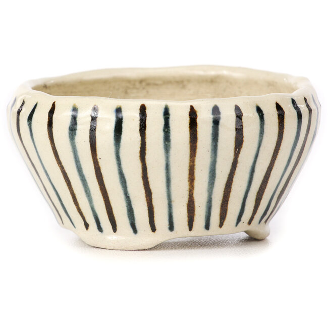 Runde Bonsaischale in weiß und mehrfarbig von Bonsai - 75 x 75 x 40 mm