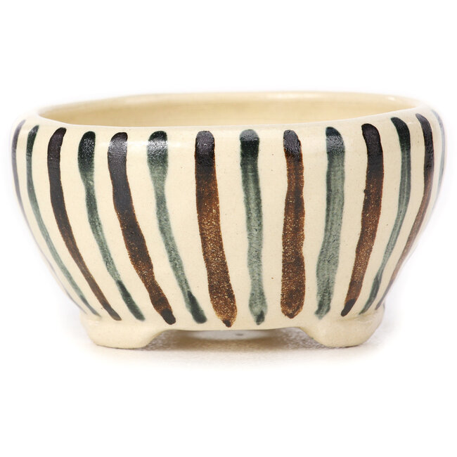 Maceta de bonsái redonda blanca multicolor de Bonsai - 80 x 80 x 40 mm