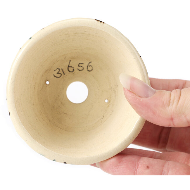 Ronde witte multicolor bonsai pot van Bonsai - 80 x 80 x 45 mm