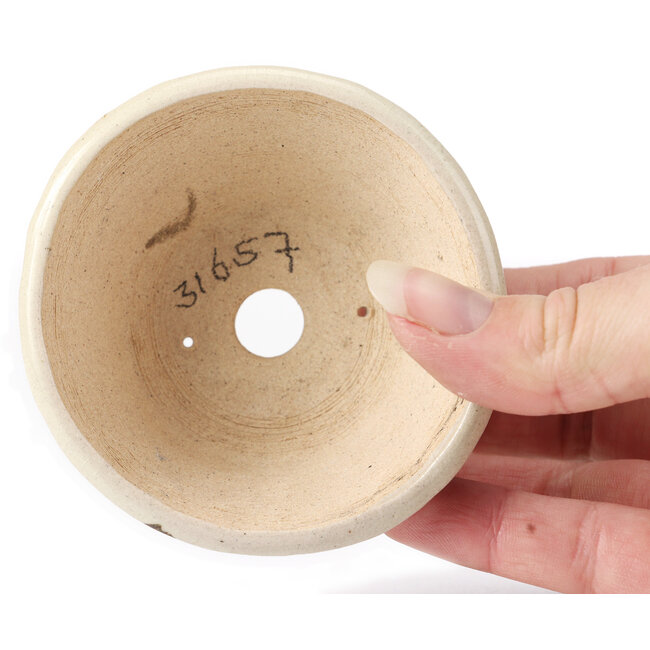 Pot à bonsaï rond blanc multicolore par Bonsai - 85 x 85 x 45 mm