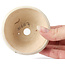 Ronde witte multicolor bonsai pot van Bonsai - 85 x 85 x 45 mm