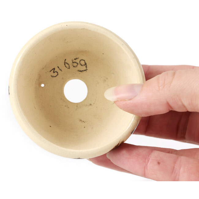 Ronde witte multicolor bonsai pot van Bonsai - 70 x 70 x 40 mm