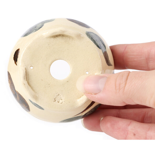 Pot à bonsaï rond multicolore blanc par Bonsai - 70 x 70 x 40 mm