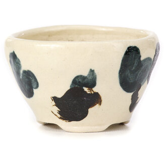 Bonsai Vaso per bonsai multicolore bianco rotondo da 70 mm di Bonsai, Giappone